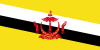 Direktesendte tv-kanaler fra  Brunei 