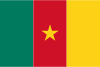 Direktesendte tv-kanaler fra  Kamerun 