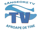 Se Sângeorz TV direkte