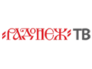 Se Radonezh TV direkte