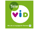 Se Tele Vid direkte