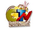 Se CTN direkte