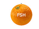 Se Fresh TV direkte