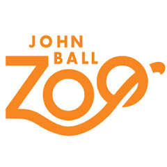 John Ball Zoo Baby Pygmy Hippo Live Cam