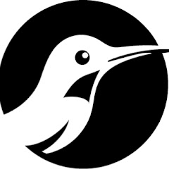 Mississippi River Flyway Bird Migration Live Cam